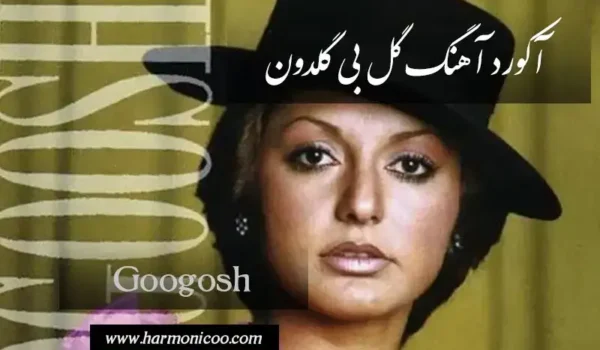 آکورد آهنگ گل بی گلدون 6