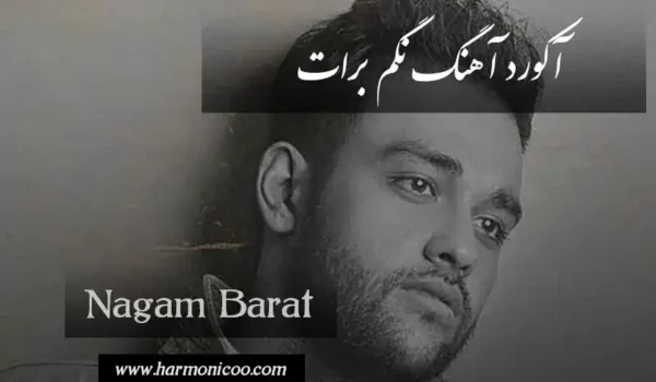 آکورد آهنگ نگم برات 6