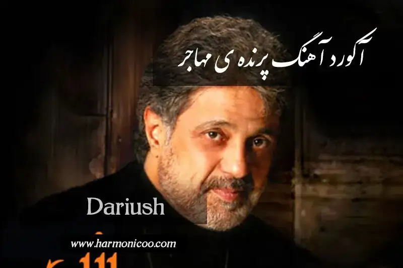 آکورد آهنگ پرنده ی مهاجر 6